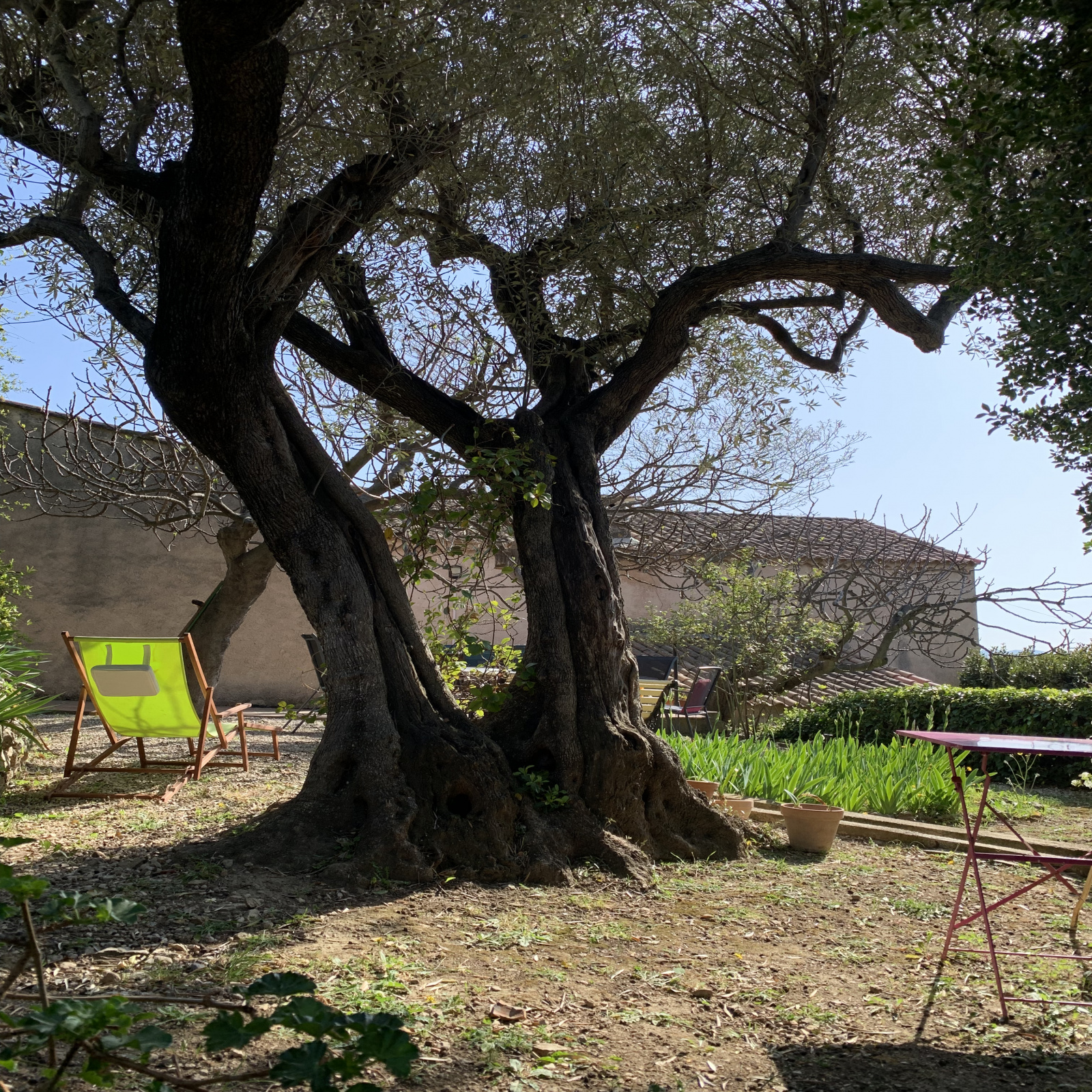 Image_9, Villa, Toulon, ref :10646